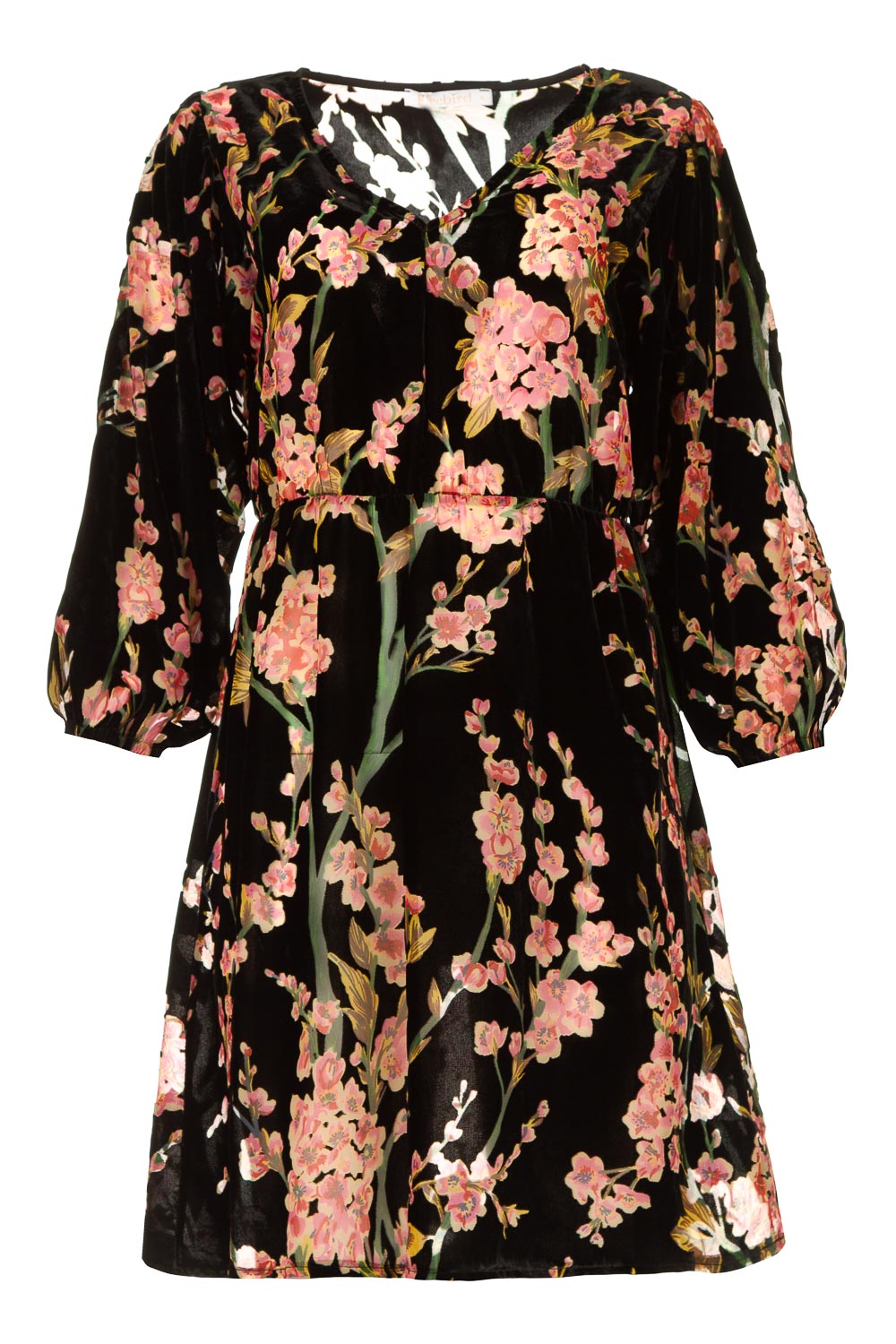 Freebird Velvet jurk met bloemenprint Floor roze